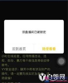 爆哥爆料视频网页,视频网页幕后故事大起底 第3张 爆哥爆料视频网页,视频网页幕后故事大起底 第3张